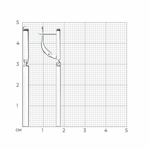 серебряные серьги